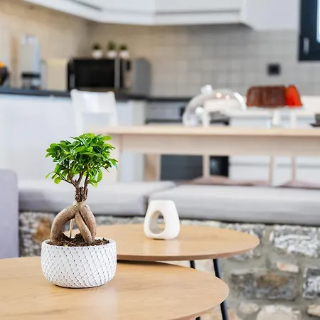 וילה Prasonisi *